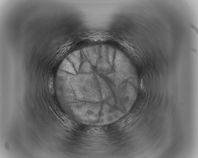 X0000097861396200804111141