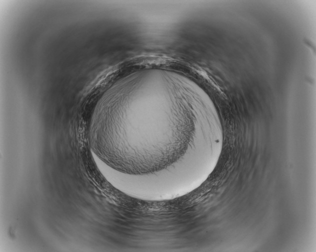 X0000097861399200804111141