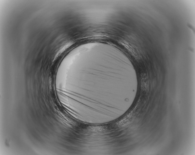 X0000097861402200804111141