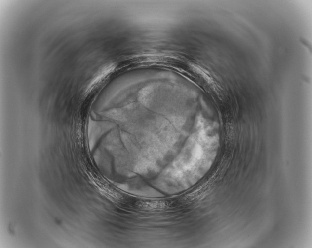 X0000097861403200804111141