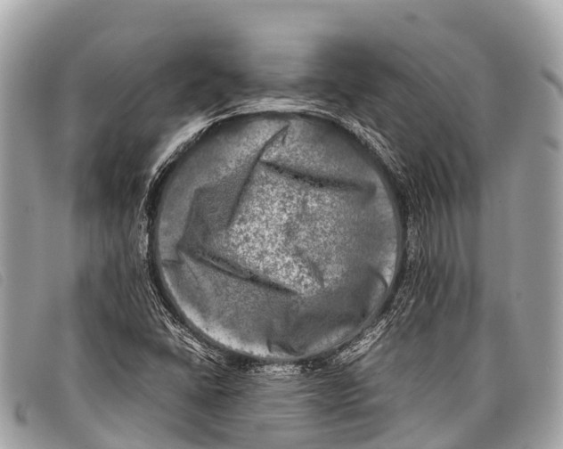 X0000097861406200804111141