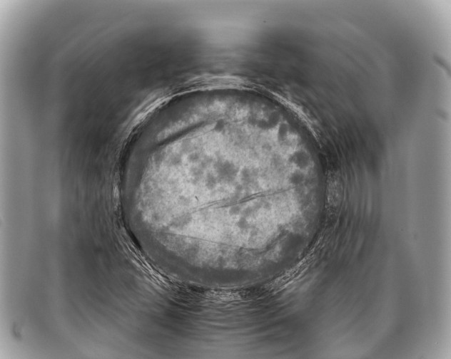 X0000097861407200804111141