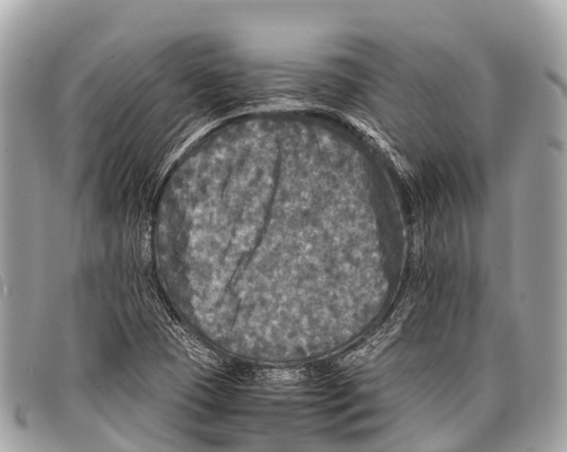 X0000097861409200804111141