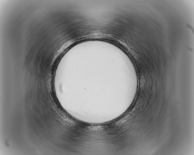 X0000097861410200804111141