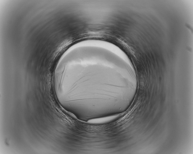 X0000097861411200804111141