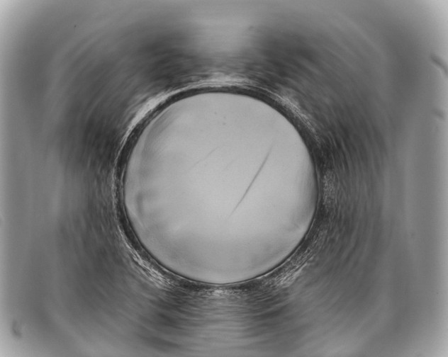 X0000097861412200804111141