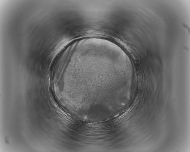 X0000097861415200804111141