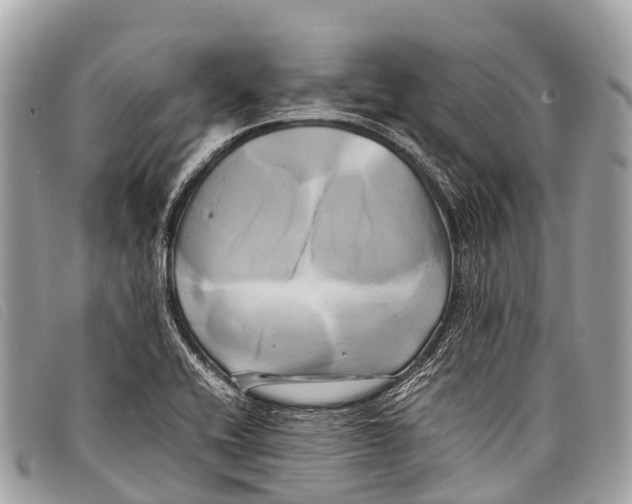 X0000097861416200804111141