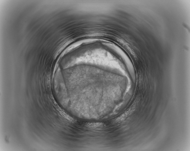 X0000097861417200804111141