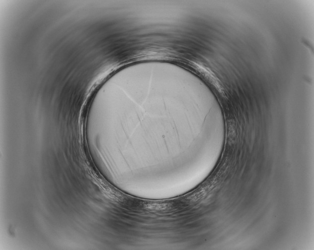 X0000097861419200804111141