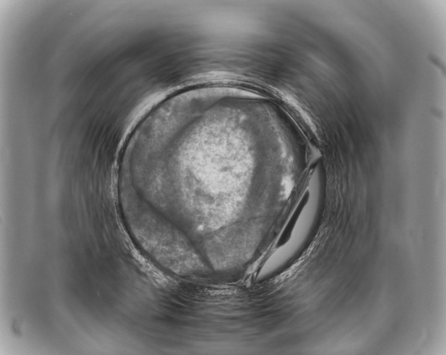 X0000097861421200804111141