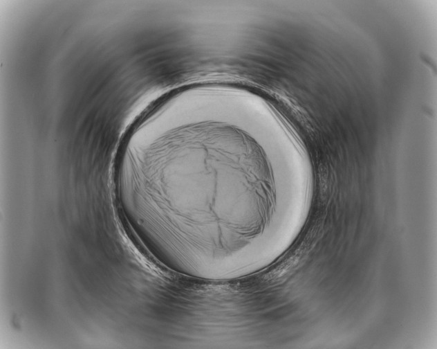 X0000097861422200804111141