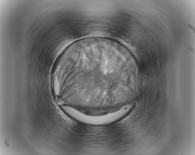 X0000097861423200804111141