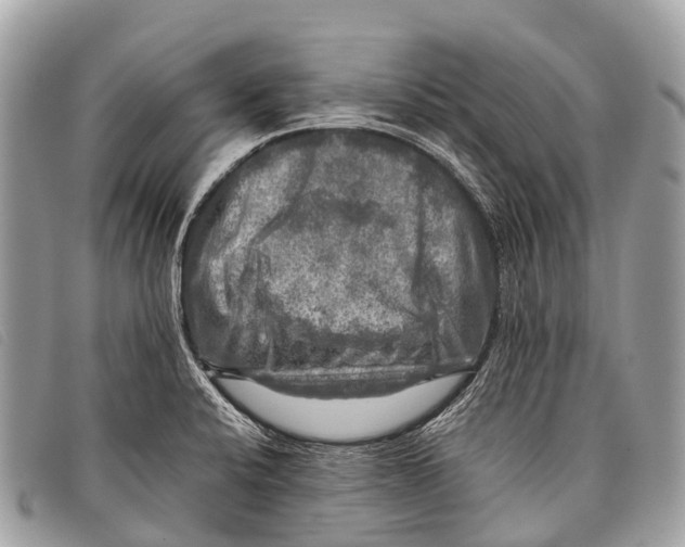 X0000097861424200804111141