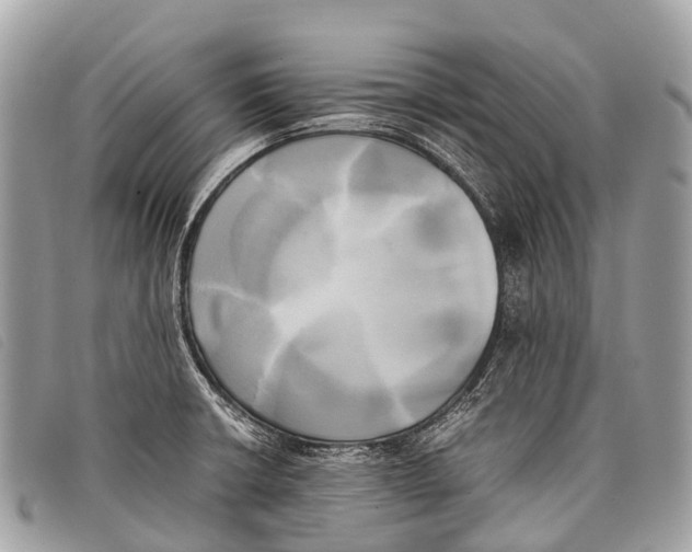 X0000097861426200804111141