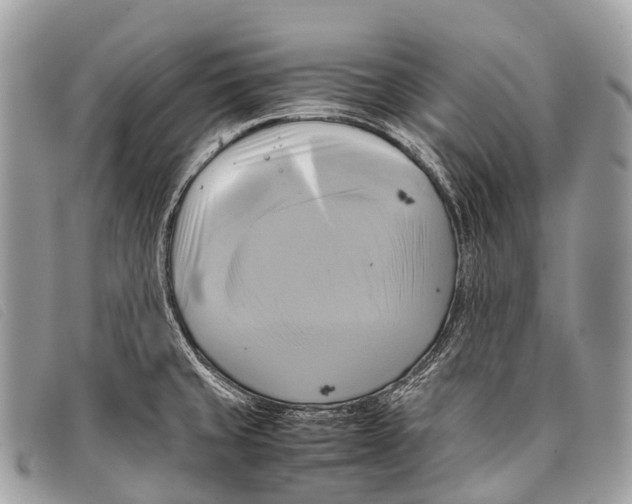 X0000097861429200804111141