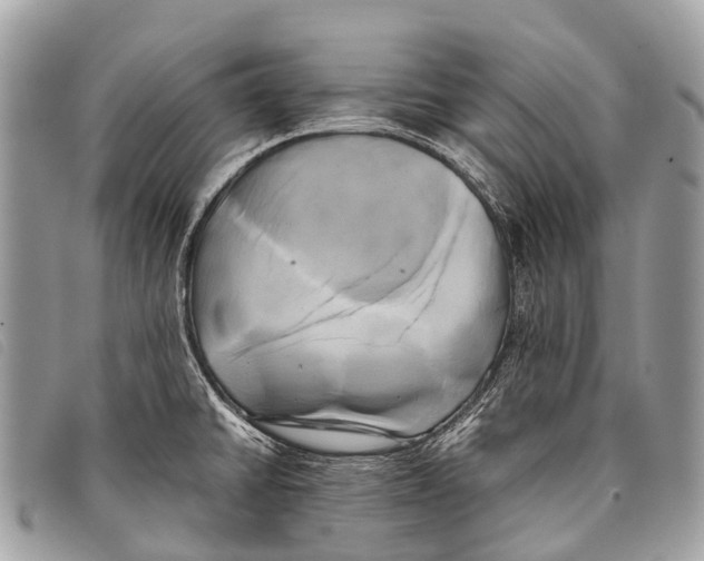 X0000097861430200804111141