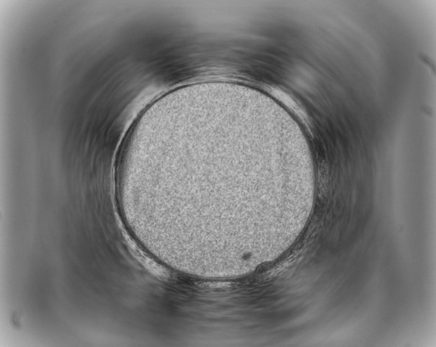 X0000097861431200804111141