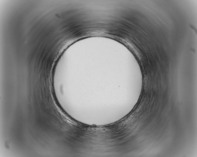 X0000097861432200804111141