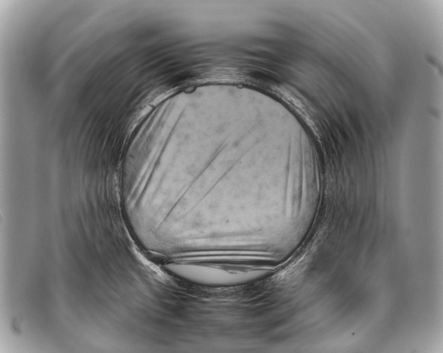 X0000097861433200804111141