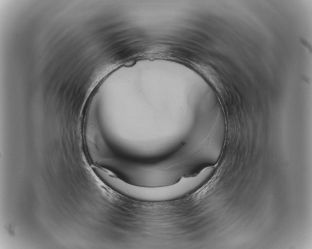 X0000097861434200804111141