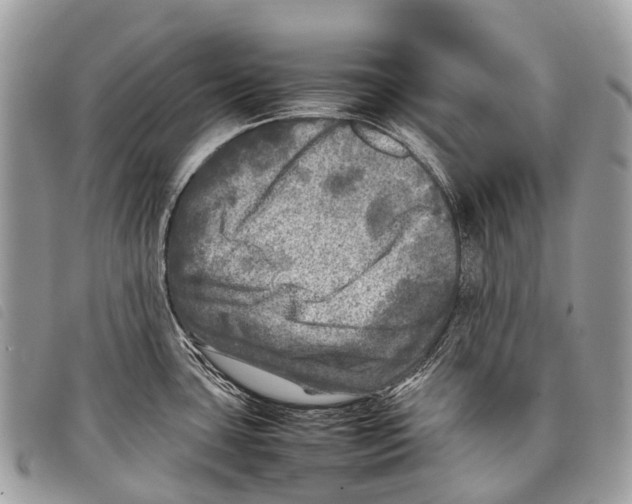 X0000097861435200804111141