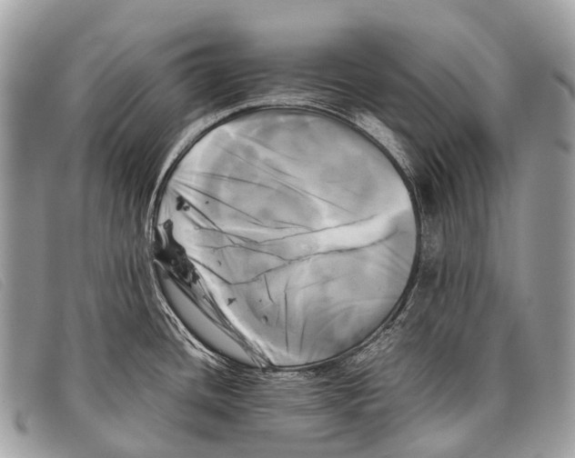 X0000097861436200804111141