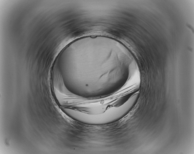 X0000097861438200804111141