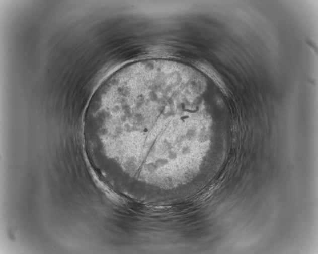 X0000097861439200804111141