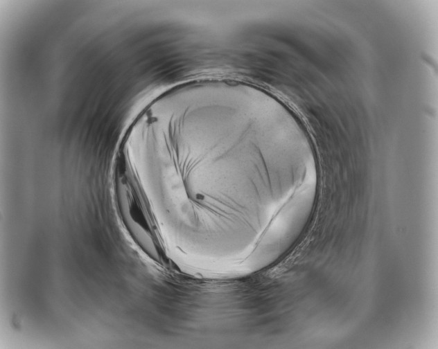 X0000097861440200804111141