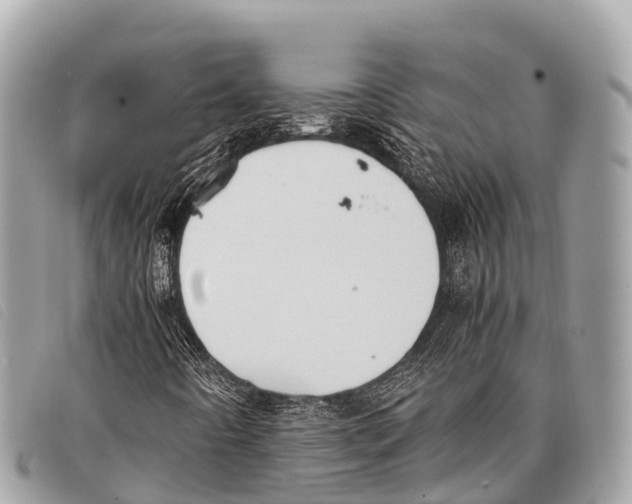 X0000097861442200804111141