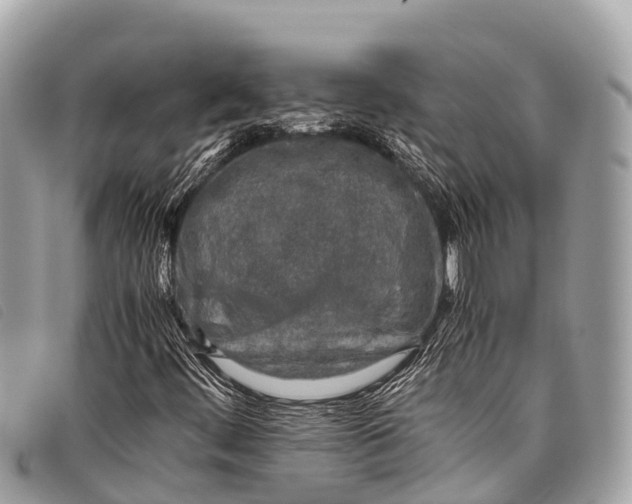 X0000097861444200804111141