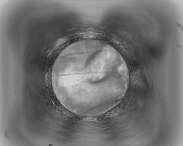 X0000097861446200804111141