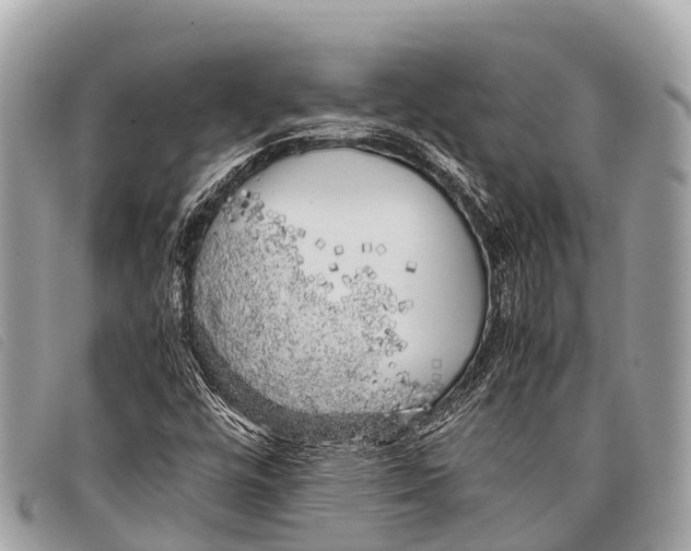 X0000097861448200804111140