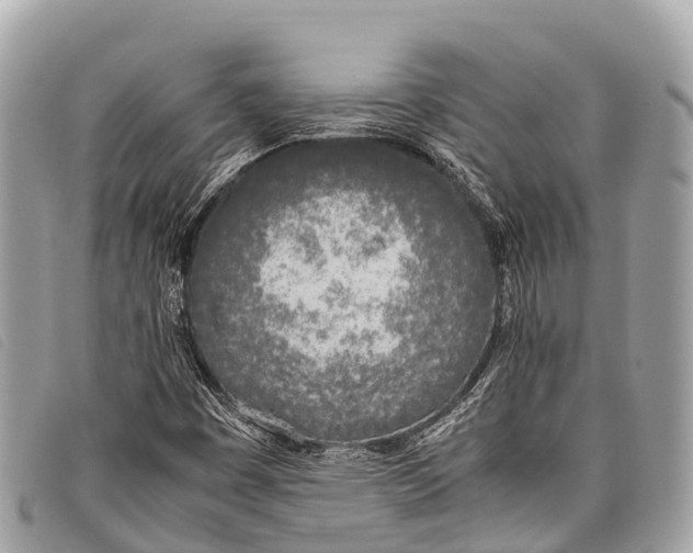 X0000097861449200804111140