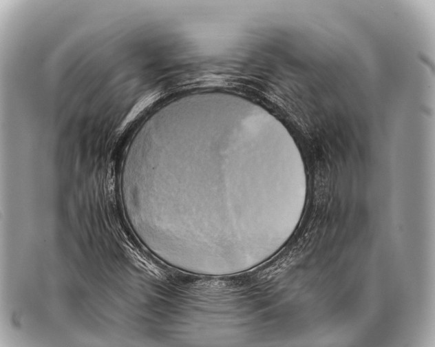 X0000097861450200804111140