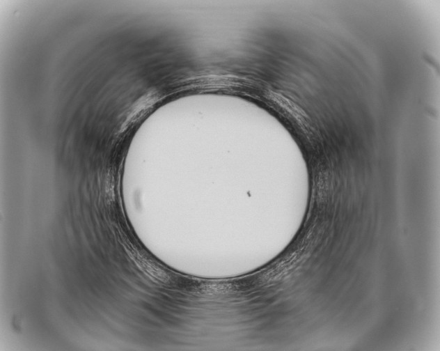 X0000097861451200804111140