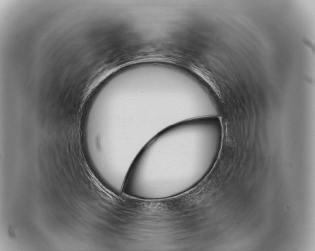 X0000097861452200804111140