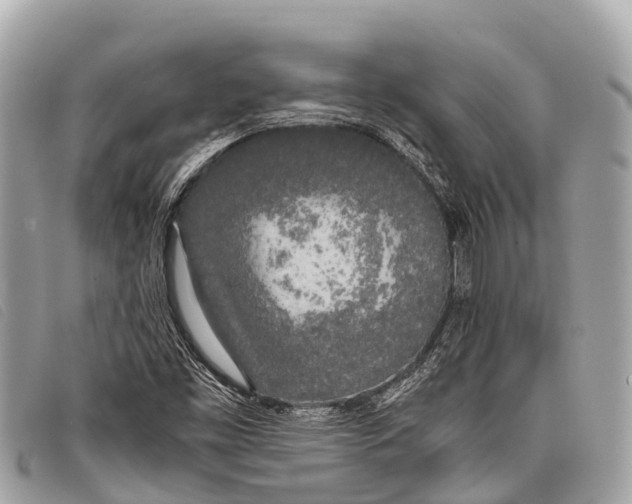 X0000097861453200804111140