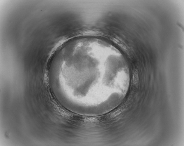 X0000097861454200804111140