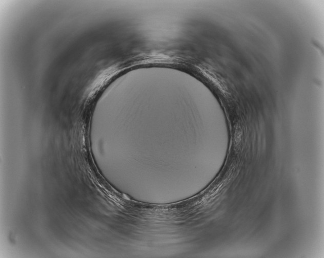 X0000097861455200804111140