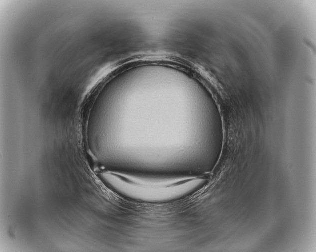 X0000097861456200804111140