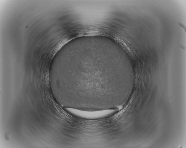 X0000097861457200804111140