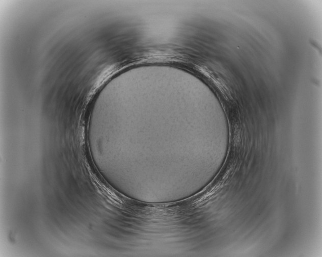 X0000097861459200804111140