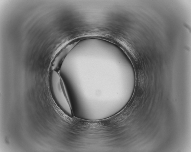 X0000097861460200804111140