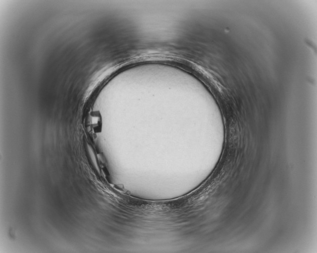 X0000097861461200804111140