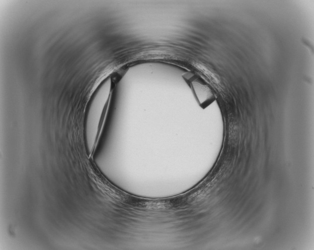 X0000097861465200804111140