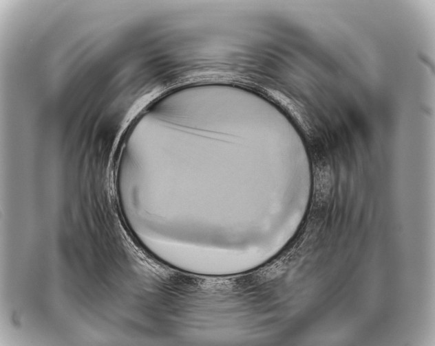 X0000097861466200804111140