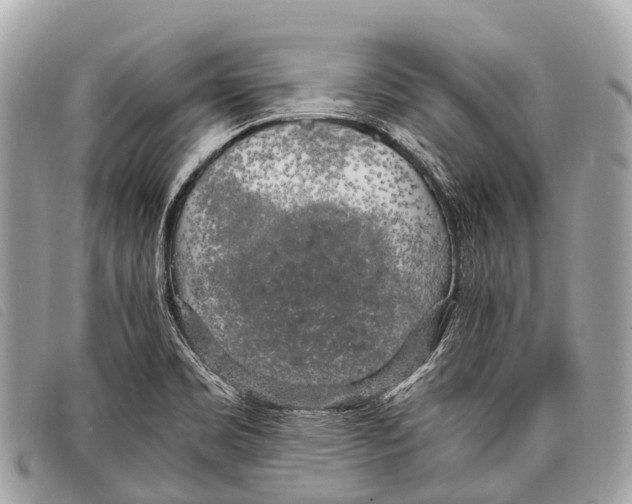 X0000097861469200804111140