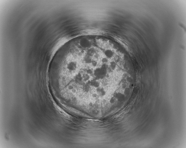 X0000097861471200804111140